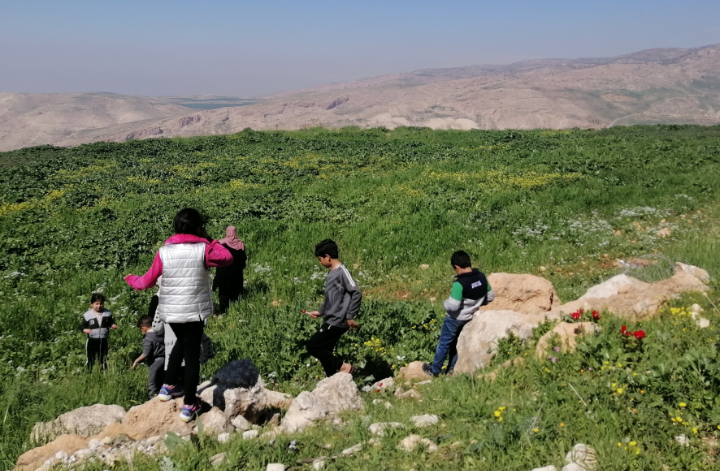 محافظة عجلون تشهد انتعاشا بموسم التبقل والتنزه