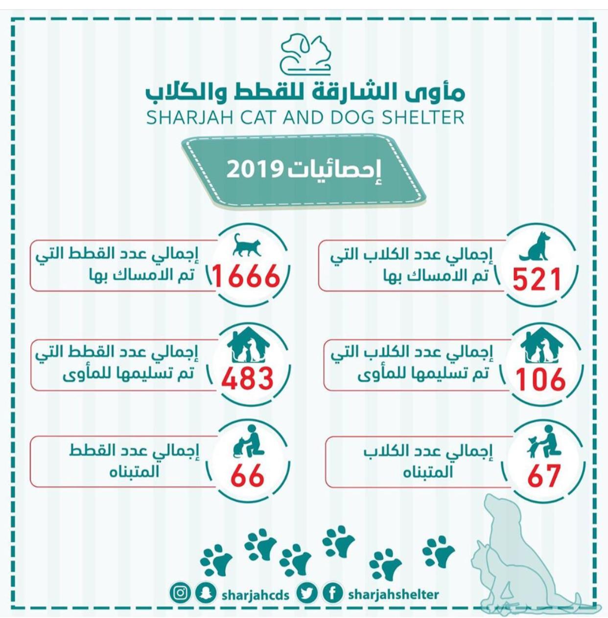 مأوى القطط والكلاب في الشارقة یتسلّم 483 قطاً و 106 كلاب خلال 2019