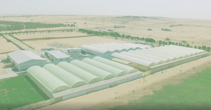 شركة أرميلا فارمز ترسي مفهوماً جديداً للمنتجات الزراعية المحلية في الإمارات