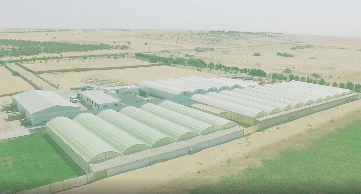 شركة أرميلا فارمز ترسي مفهوماً جديداً للمنتجات الزراعية المحلية في الإمارات