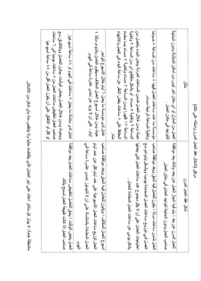 وزير العمل: تفعيل العمل المرن في القطاع الخاص ولا تأثير على حقوق العاملين