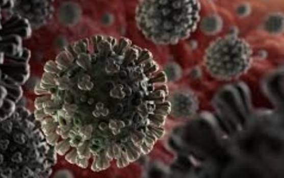 معركة كندا مع أسرة العناية