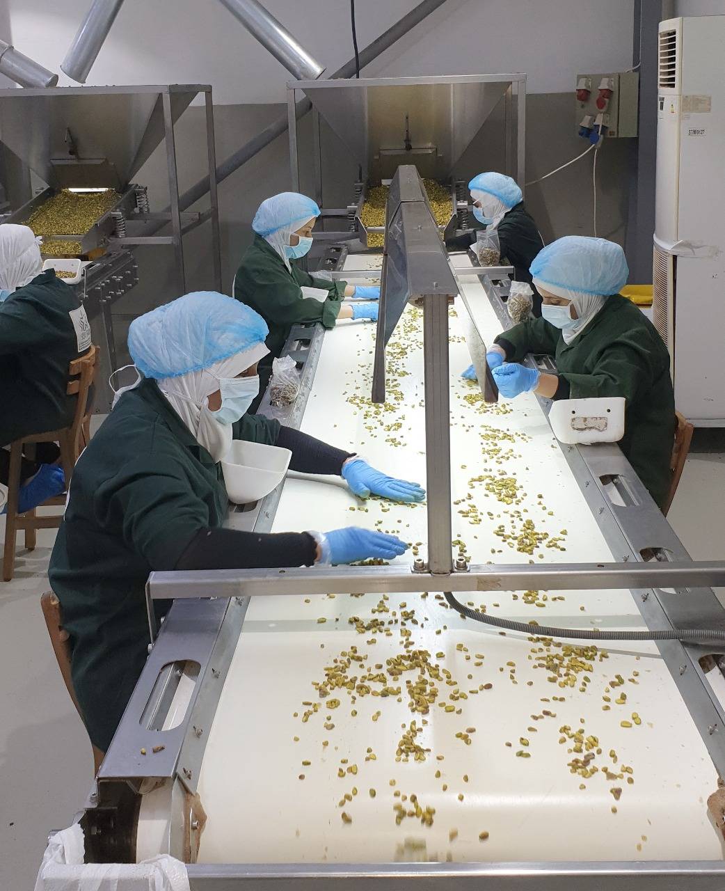 عودة بعض القطاعات الصناعية للعمل في العقبة 