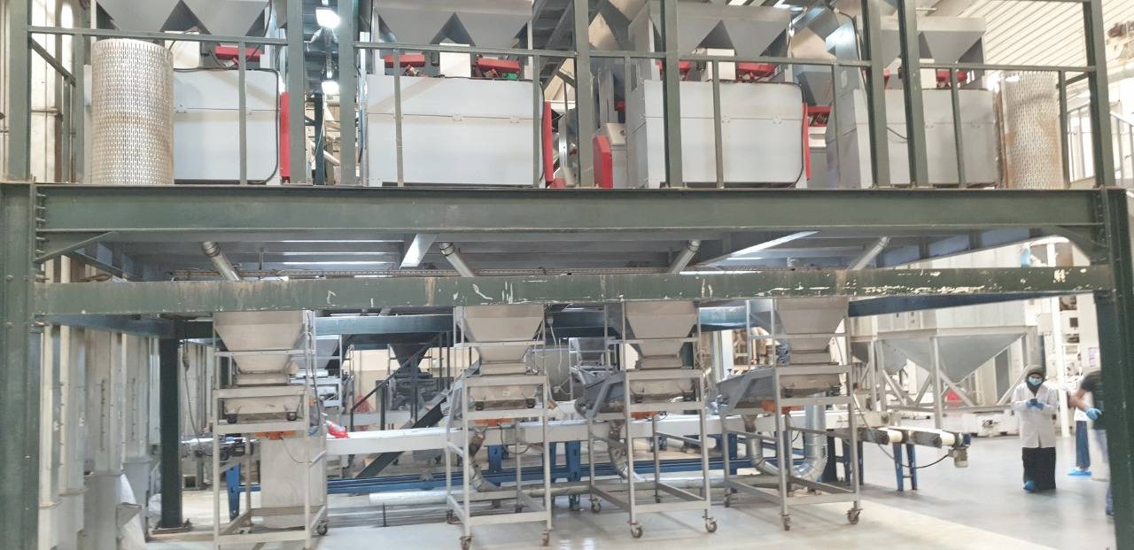 عودة بعض القطاعات الصناعية للعمل في العقبة 