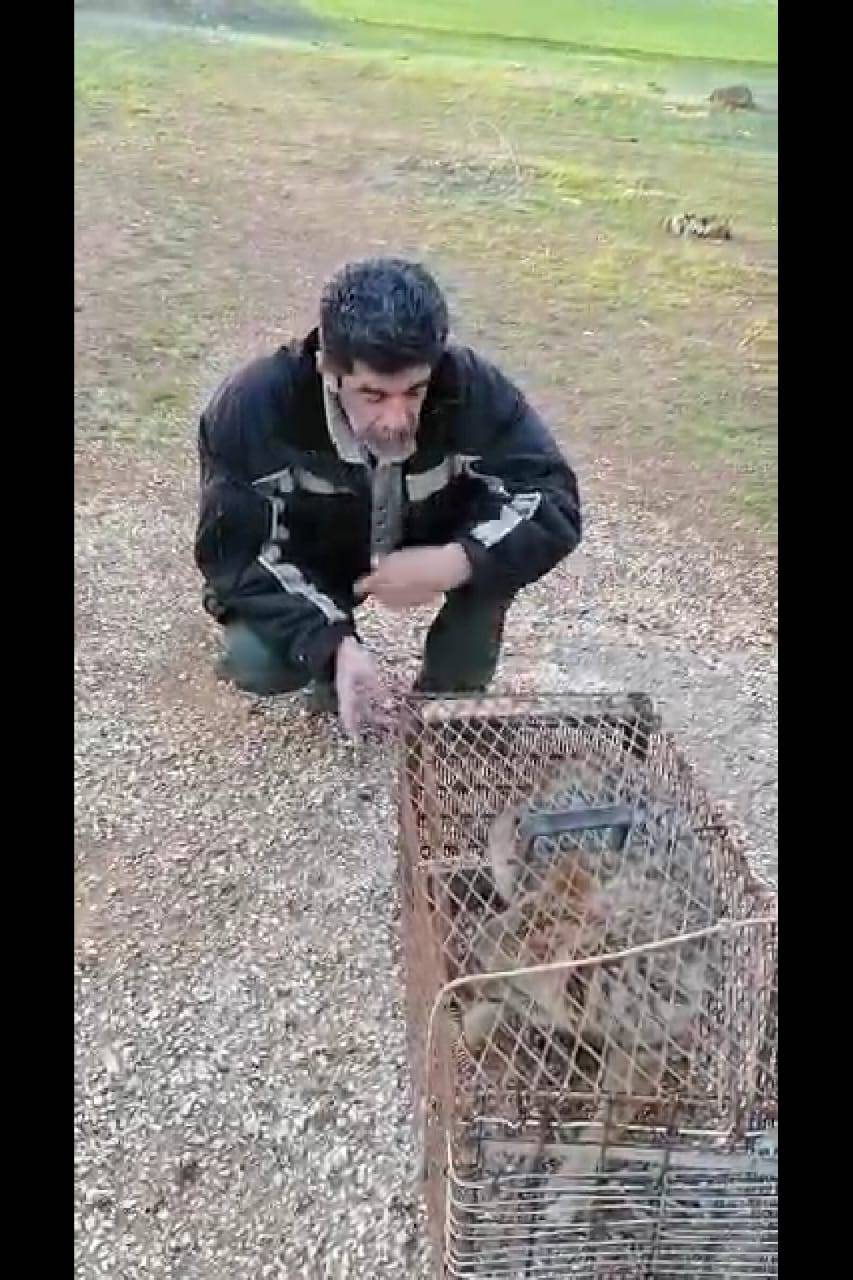 صيد طيور وحيوانات برية بشكل مخالف وفي فترة الحظر 