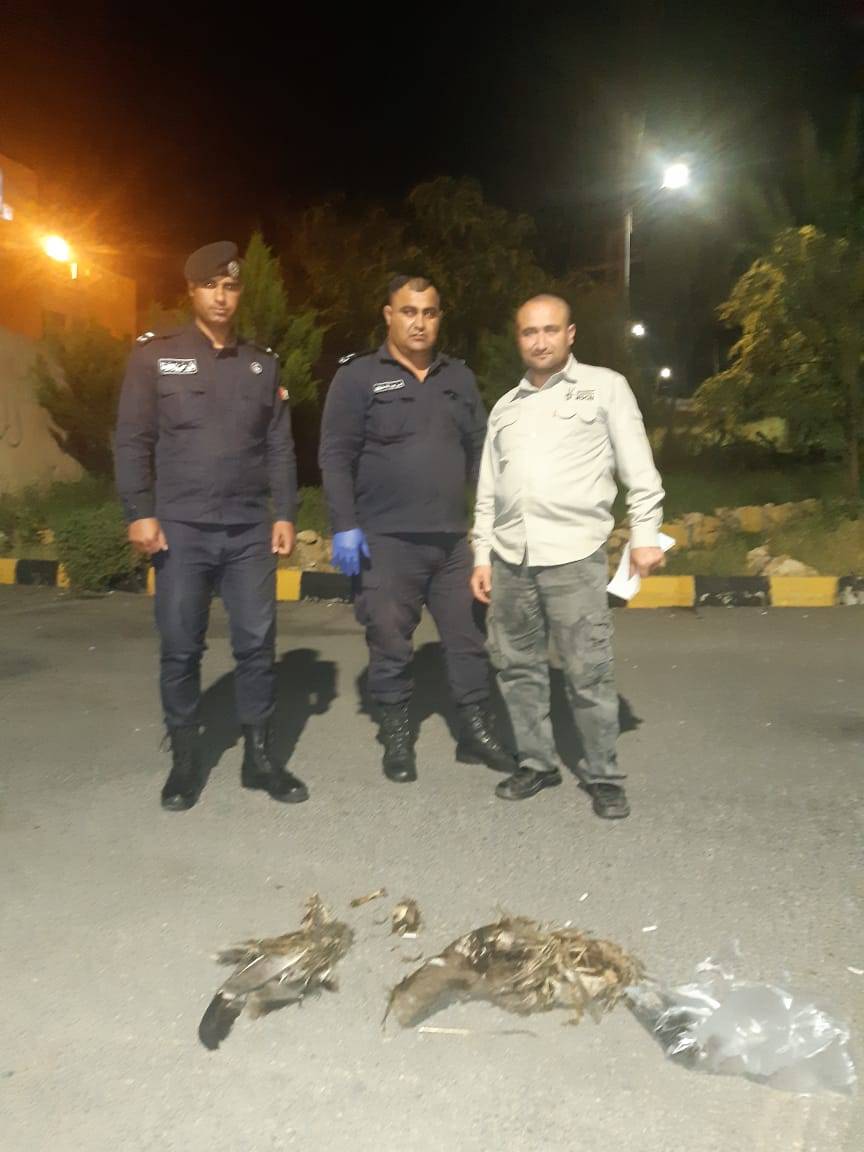 صيد طيور وحيوانات برية بشكل مخالف وفي فترة الحظر 