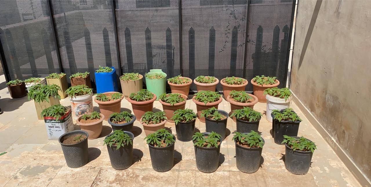 القبض على خمسة مروجي للمواد المخدرة جنوب العاصمة