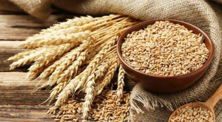 تأمين الطحين لمرضى حساسية القمح بمحافظة الكرك