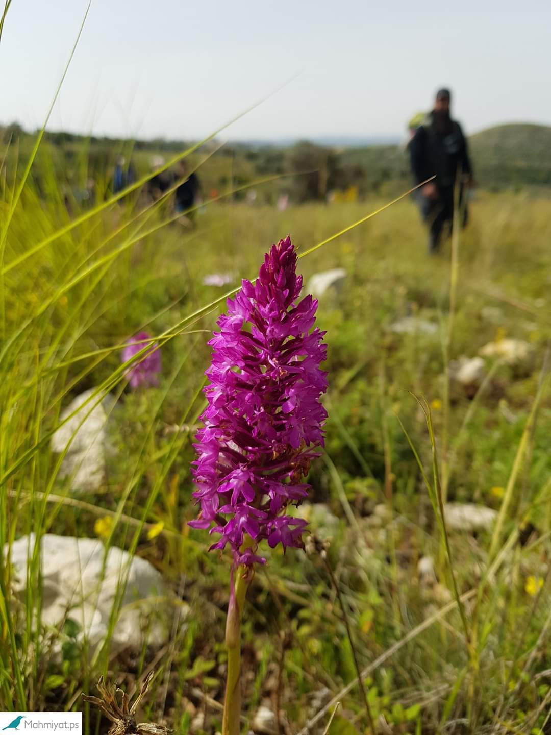 موقع محميات فلسطين يشارك العالم الاحتفال بيوم التنوع البيولوجي