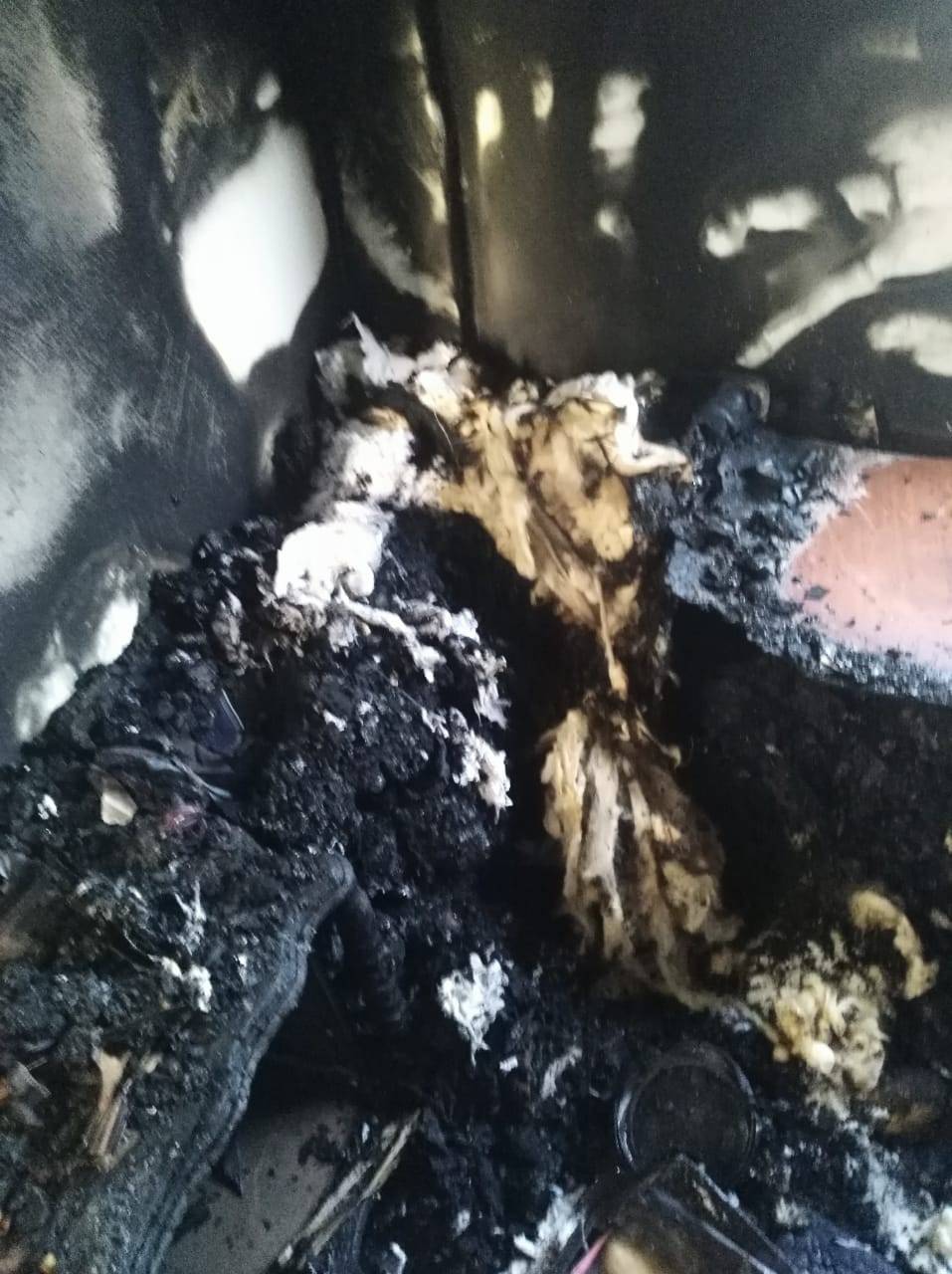 مناشدة لرئيس هيئة الأركان المشتركة اللواء الركن يوسف الحنيطي 