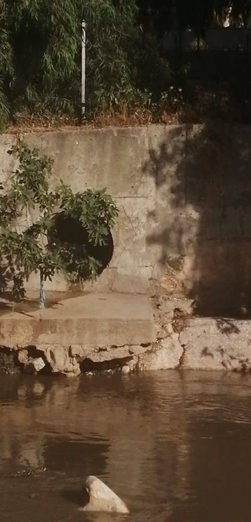 محطة السمرا توضح حول مياه سيل الزرقاء