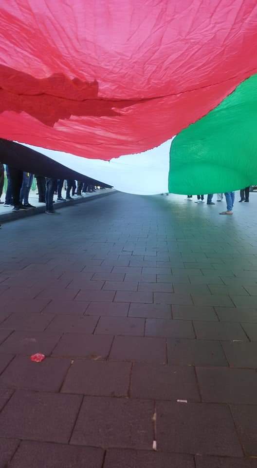 احتفالات محافظة مادبا بعيد الاستقلال الرابع والسبعين  .. صور