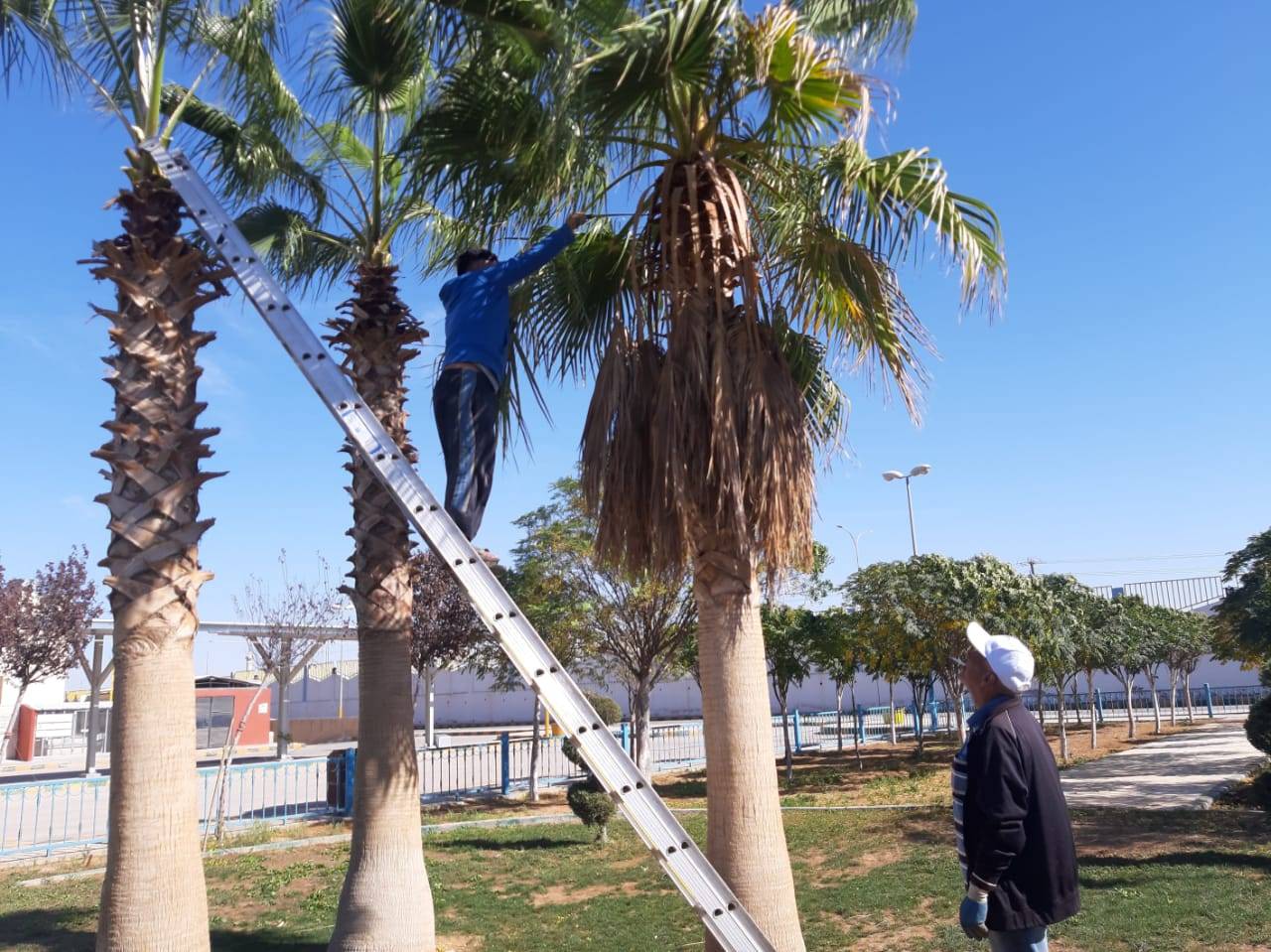 مدينة الأمير محمد للشباب تحافظ على جاهزية مرافقها 