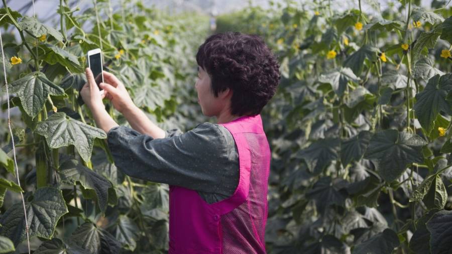 دراسة جديدة من إريكسون:عالم أكثر استدامة بفضل ابتكارات قطاع تكنولوجيا الاتصالات