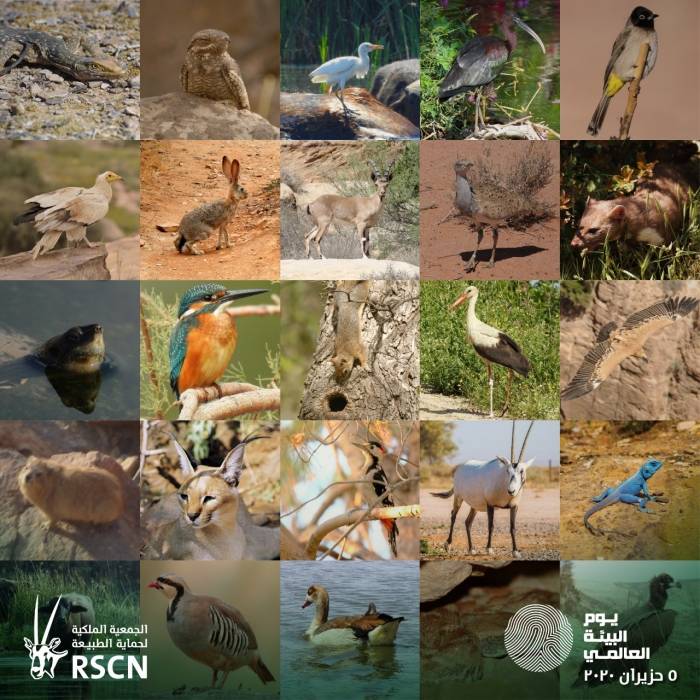 الاردن يشارك العالم احتفالات يوم البيئة العالمي