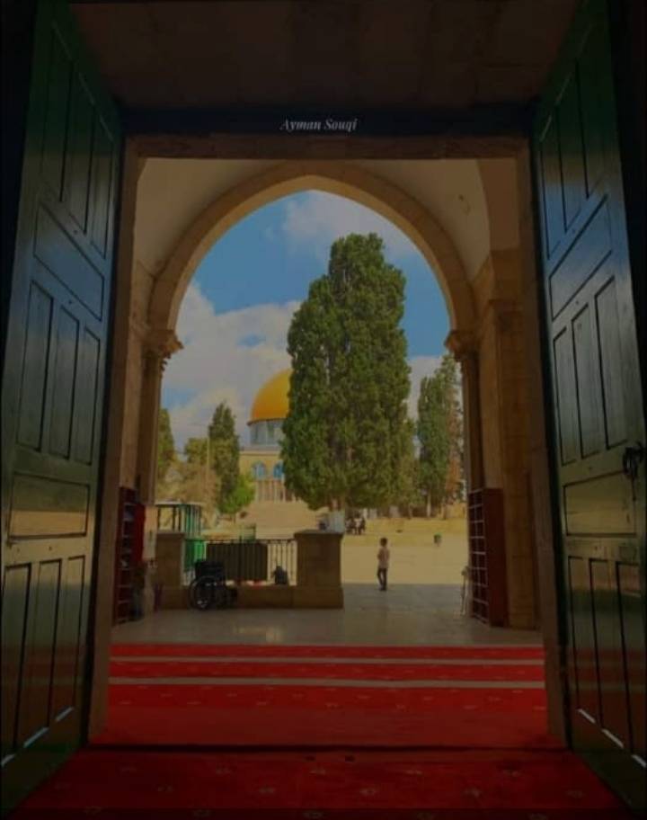 عشرات المستوطنين المتطرفين يقتحمون باحات الأقصى