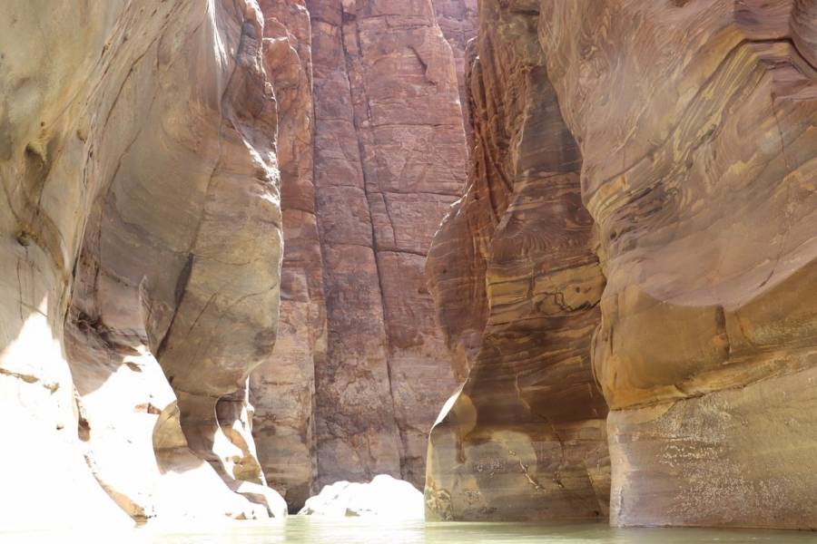 الجمعية الملكية لحماية الطبيعة تفتتح محمياتها وكافة مرافقها أمام الزوار