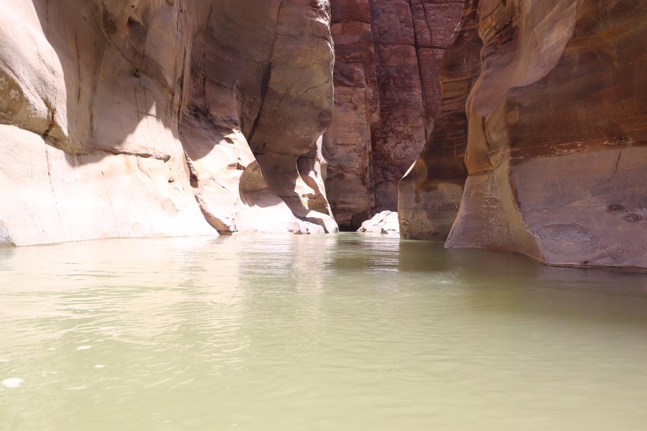 الجمعية الملكية لحماية الطبيعة تفتتح محمياتها وكافة مرافقها أمام الزوار