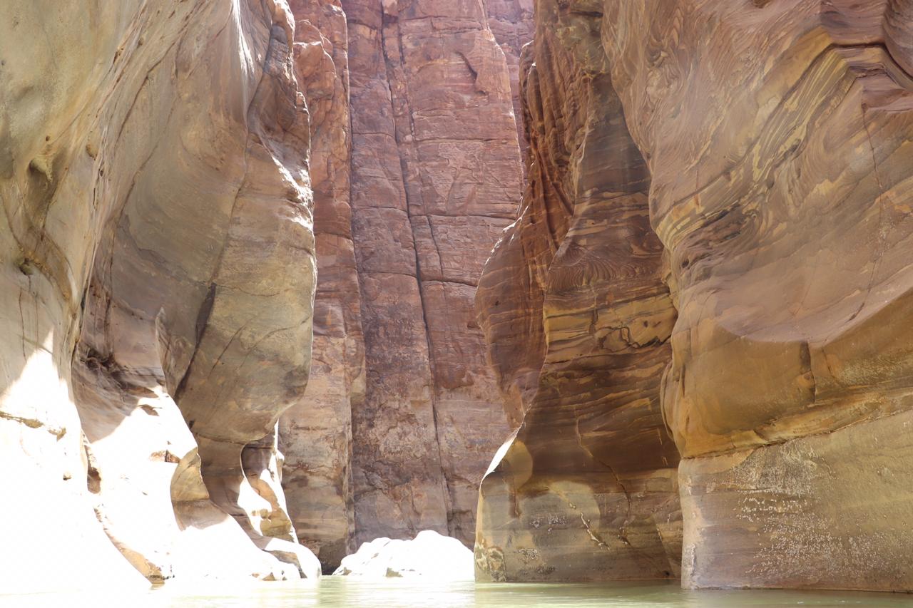 الجمعية الملكية لحماية الطبيعة تفتتح محمياتها وكافة مرافقها أمام الزوار