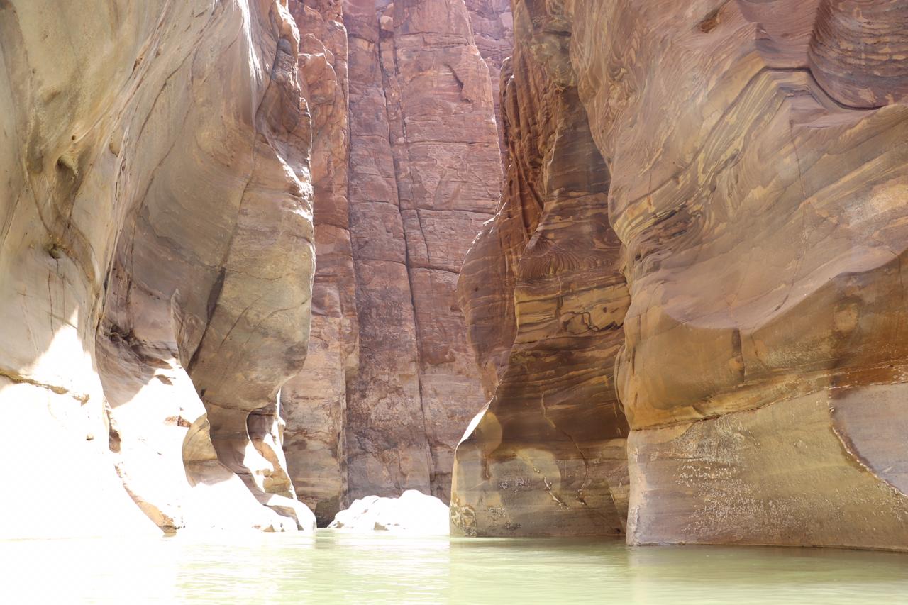 الجمعية الملكية لحماية الطبيعة تفتتح محمياتها وكافة مرافقها أمام الزوار