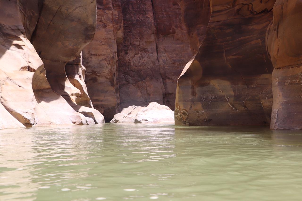 الجمعية الملكية لحماية الطبيعة تفتتح محمياتها وكافة مرافقها أمام الزوار