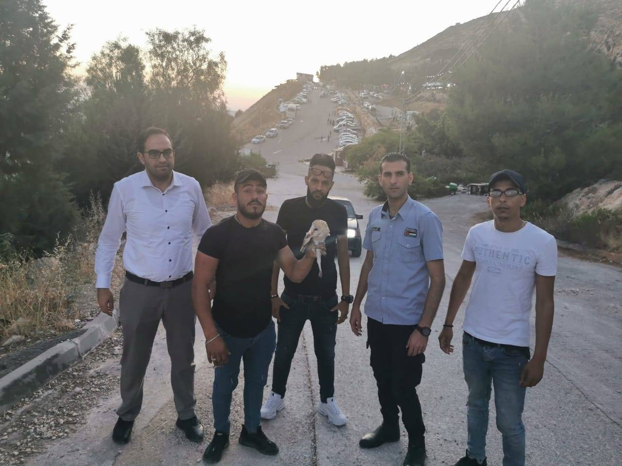 سلطة جودة البيئة تطلق سراح طائر  البومة البيضاء ــ بوم حظائر  في نابلس