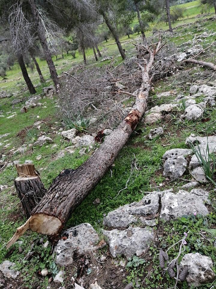 سلطة جودة البيئة تتابع عمليات الاعتداء على محمية دير رازح في الخليل