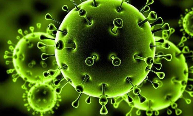 أهمية التخطيط المسبق والتواصل مع العملاء لاستمرار الشركات خلال جائحة كوفيد19