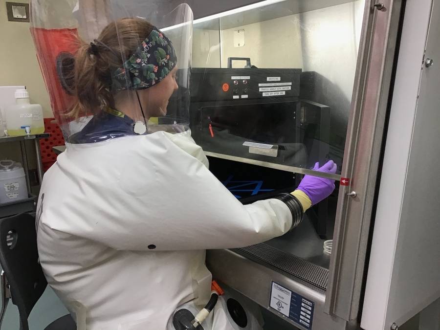 اثبات كفاءة الأشعة فوق البنفسجية الشديدة لسيجنيفاي في تثبيط فيروس كورونا