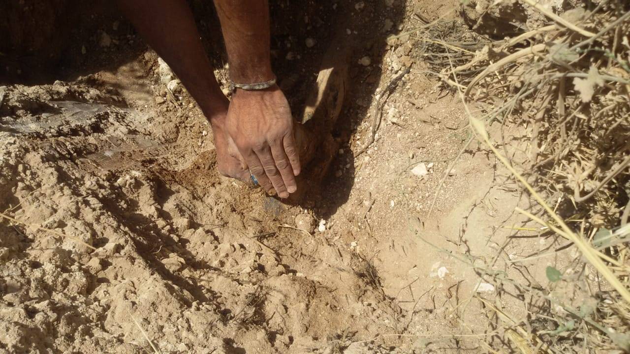 المياه : حملة امنية لضبط اعتداءات على خطوط رئيسية في منجا وام رمانة تزود فلل .. فيديو