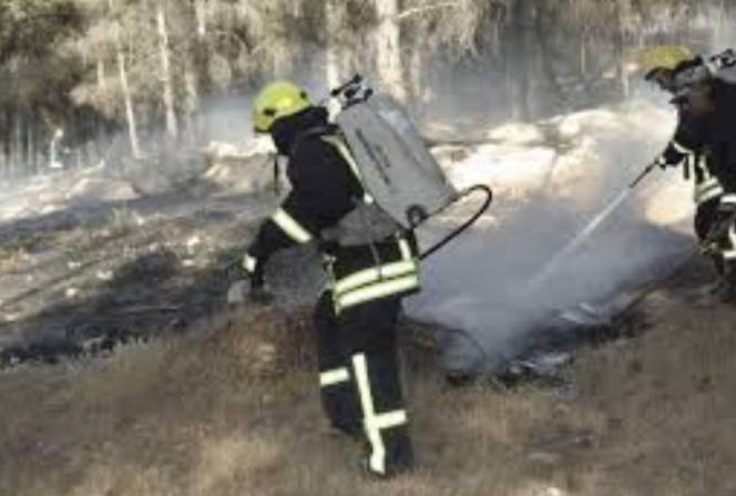 جرش : الدفاع المدني يسيطر على حريق أعشاب جافة وأشجار حرجية بالقرب من سد الملك طلال