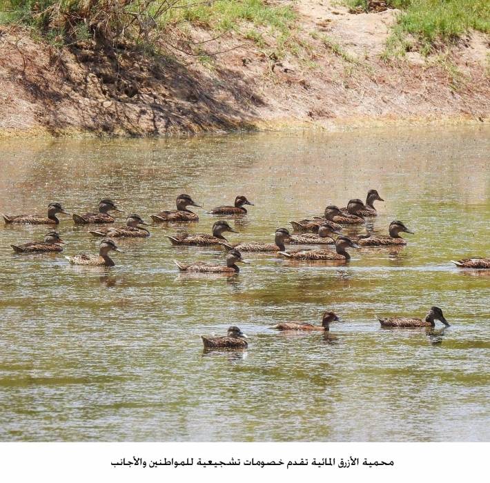 محمية الأزرق المائية تقدم خصومات تشجيعية تصل لـ 25 للمواطنين والأجانب