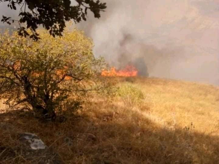 إربد : حريق هائل في منطقة عقربا بلواء بني كنانة .. فيديو