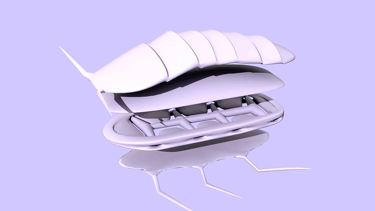 هيونداي موتور تتعاون مع مدرسة رود آيلاند الأمريكية للتصميم لدراسة تقديم تصاميم مستقبلية لوسائل ومنصات التنقل مستوحاة من الطبيعة