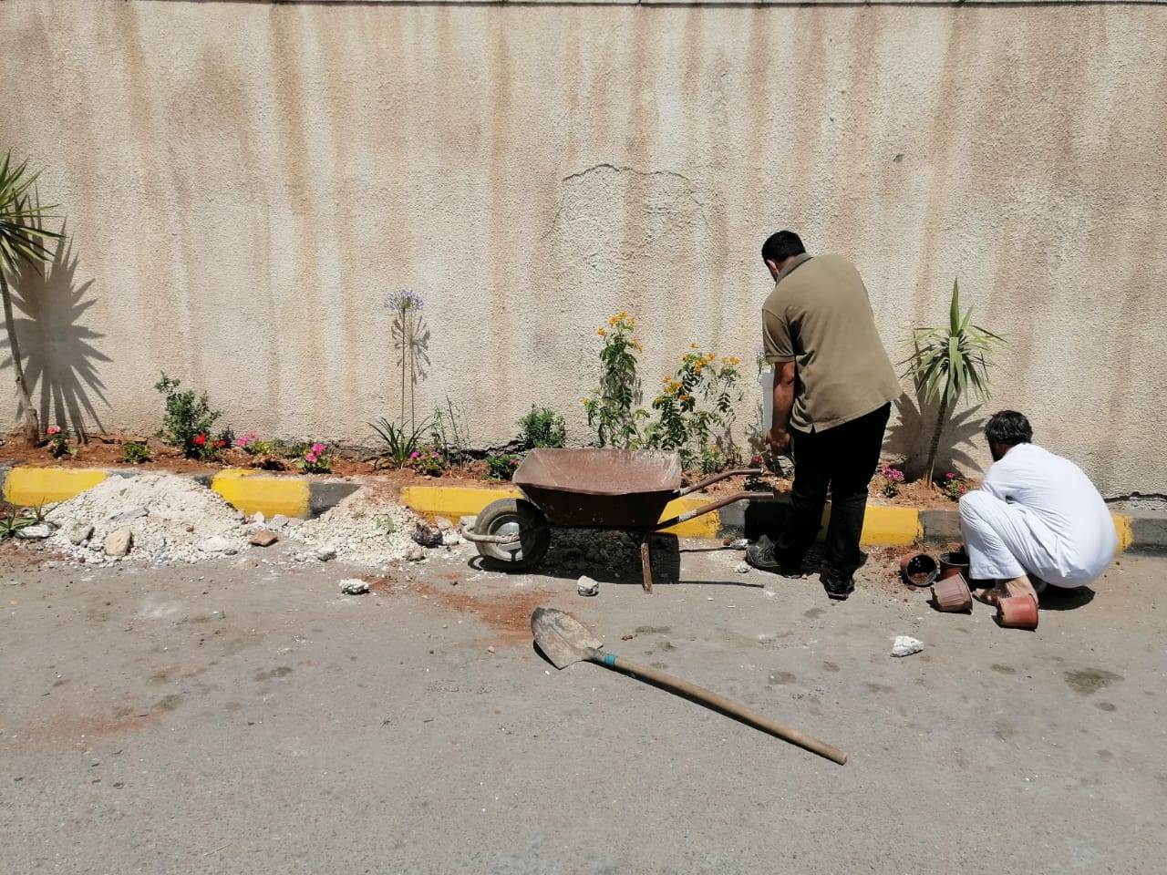 الوطني للبحوث الزراعية والشرطة المجتمعية ينظمان مبادرة زراعة الأشجار