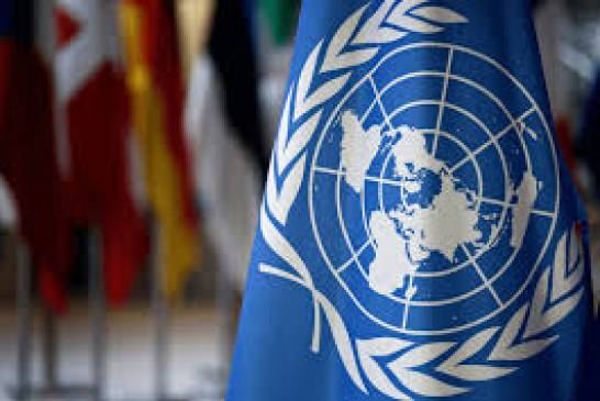 موافقة أممية على إدخال المساعدات الإنسانية لسوريا عبر معبر تركي واحد ولمدة عام