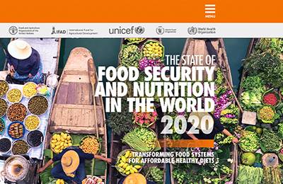 تقرير حالة الأمن الغذائي والتغذية في العالم  : العالم ليس على المسار المطلوب للقضاء على الجوع
