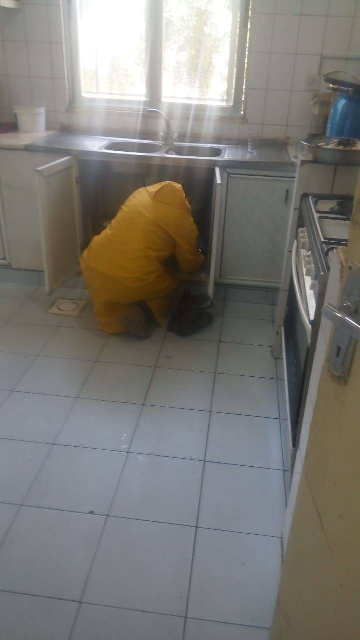 تعقيم قسم ترخيص مادبا