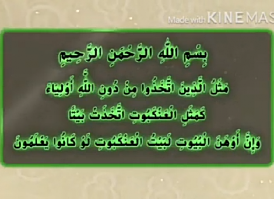 شاهد بالفيديو .. بيت العنكبوتُ : هو أوهنُ بيتِ على الإطلاق .. والسبب !!
