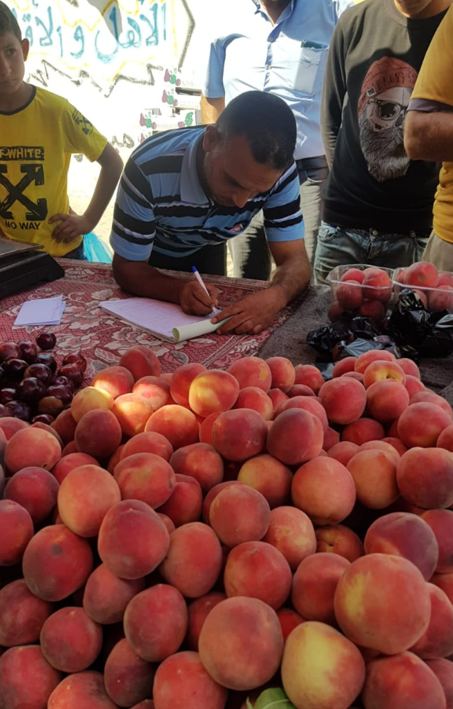 غزة : وزارة الاقتصاد الوطني نظمت 41 جولة ميدانية وحررت 71 محضر إتلاف وضبط لمخالفين