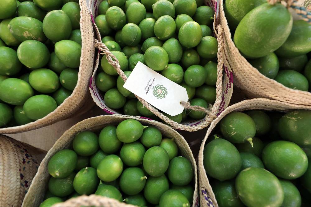 إعلان نتائج مسابقات الليمون والمانجو في مهرجان ليوا للرطب   