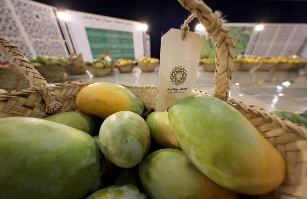 إعلان نتائج مسابقات الليمون والمانجو في مهرجان ليوا للرطب   