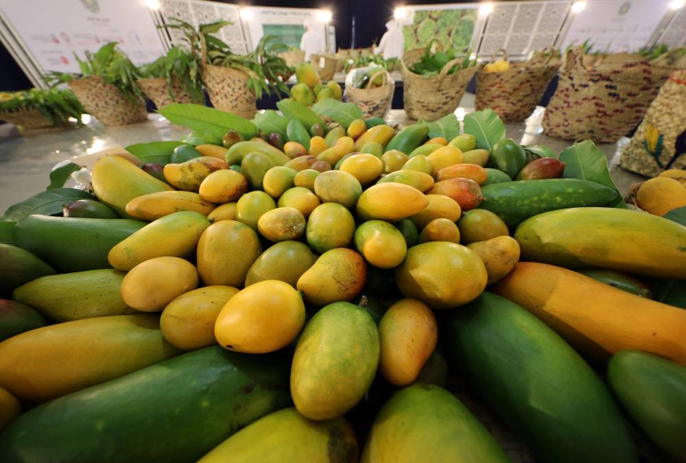 إعلان نتائج مسابقات الليمون والمانجو في مهرجان ليوا للرطب   