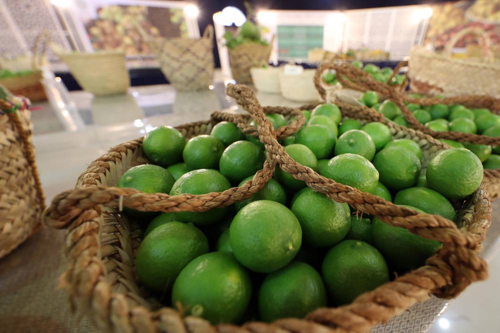 إعلان نتائج مسابقات الليمون والمانجو في مهرجان ليوا للرطب   