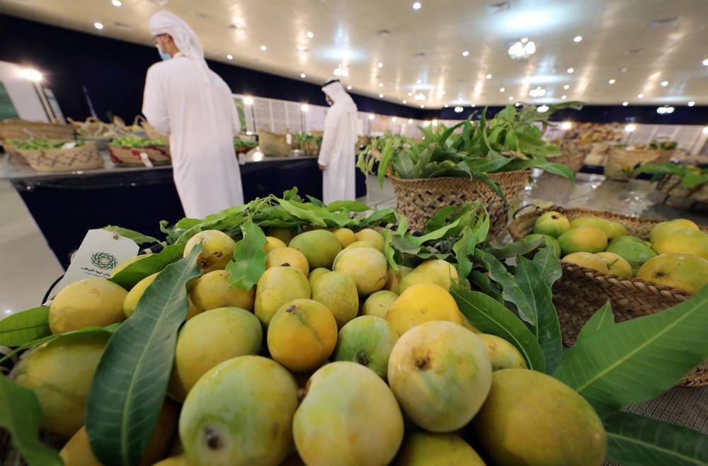 إعلان نتائج مسابقات الليمون والمانجو في مهرجان ليوا للرطب   