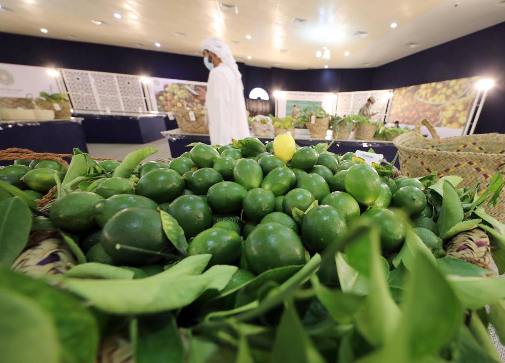 إعلان نتائج مسابقات الليمون والمانجو في مهرجان ليوا للرطب   