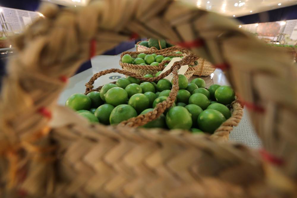 إعلان نتائج مسابقات الليمون والمانجو في مهرجان ليوا للرطب   