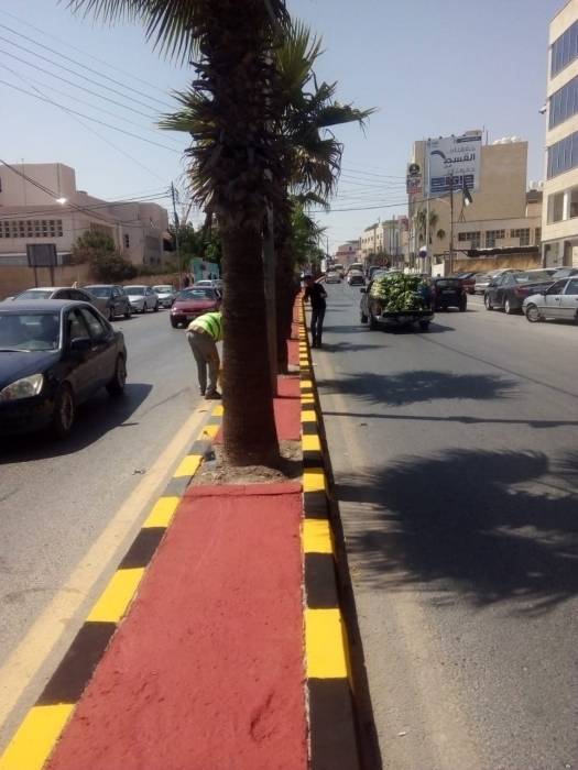 تزيين الطرقات في مادبا