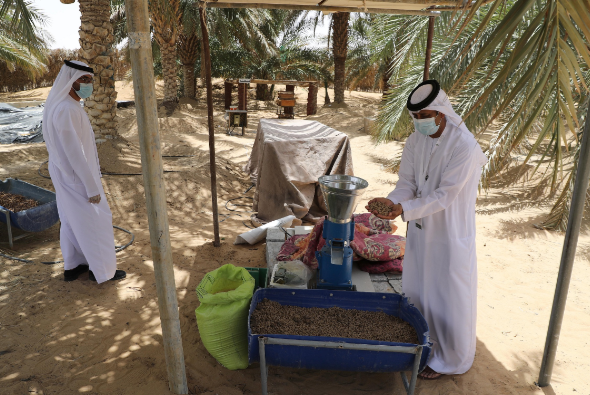 لجان تحكيم مهرجان ليوا للرطب 16 تزور المزارع المشاركة في مسابقة المزرعة النموذجية