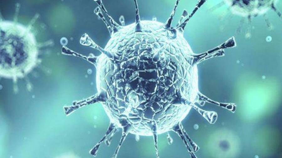 الصين : تسجيل 21 اصابة جديدة بفيروس كورونا